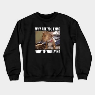 Why Are You Lying Funny Dog Meme Crewneck Sweatshirt